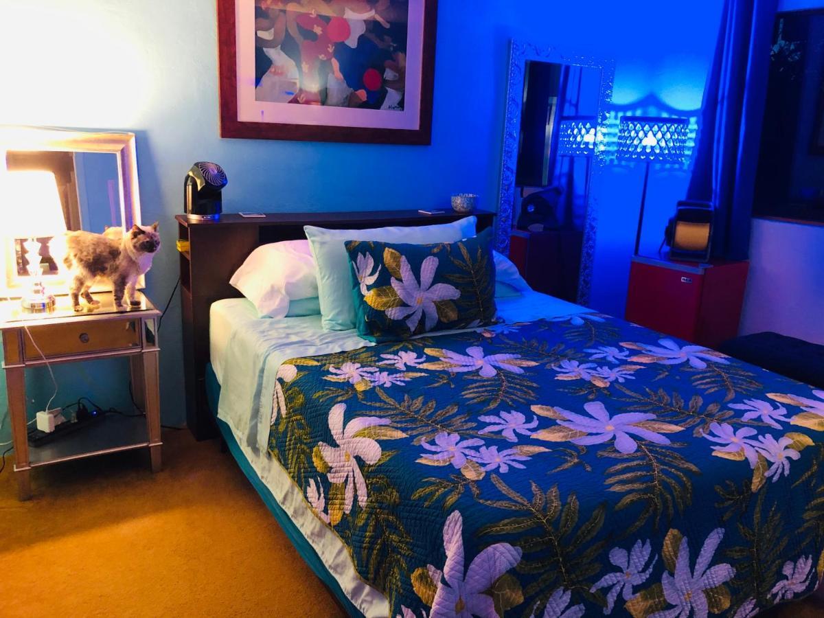 Kona Magic Honu Room Кайлуа Кона Екстериор снимка